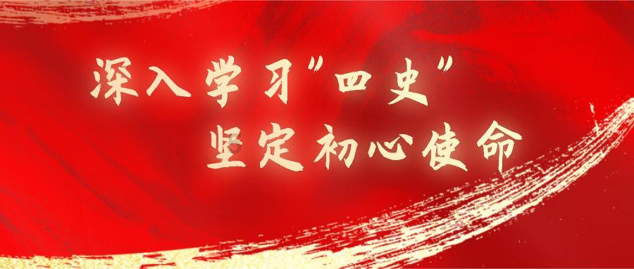 探探猫宝石岛